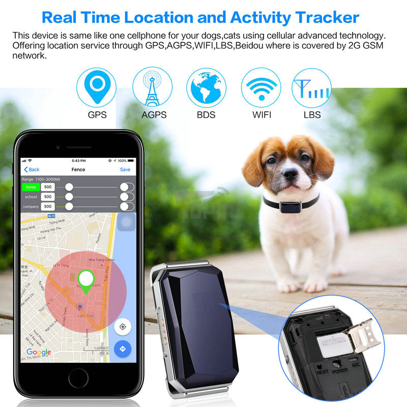 GPS Collar from Gentle dog store
