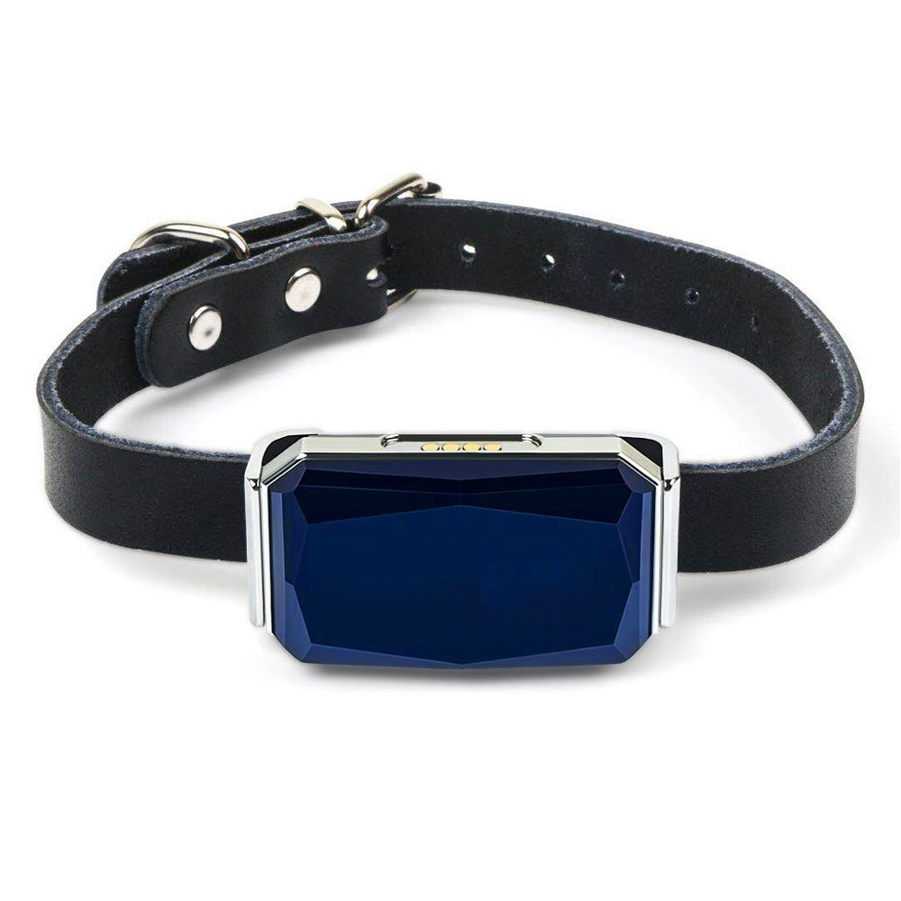 GPS Collar from Gentle dog store