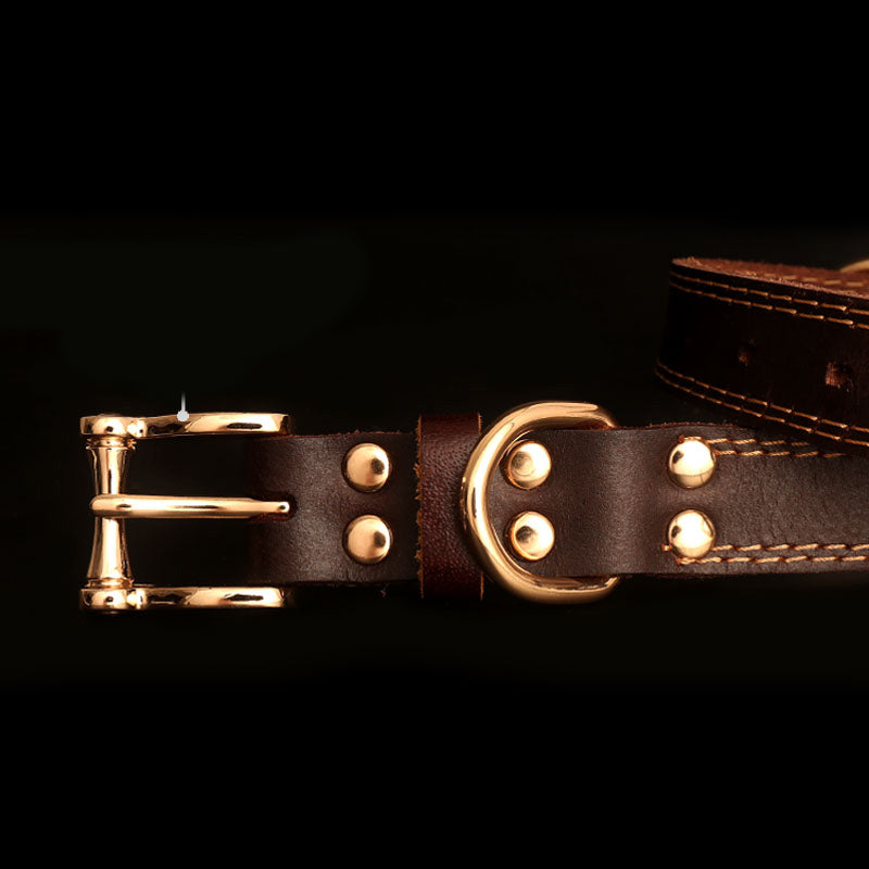 "Stylish and durable leather dog collar from Gentle Dog Store, perfect for comfort and everyday use."