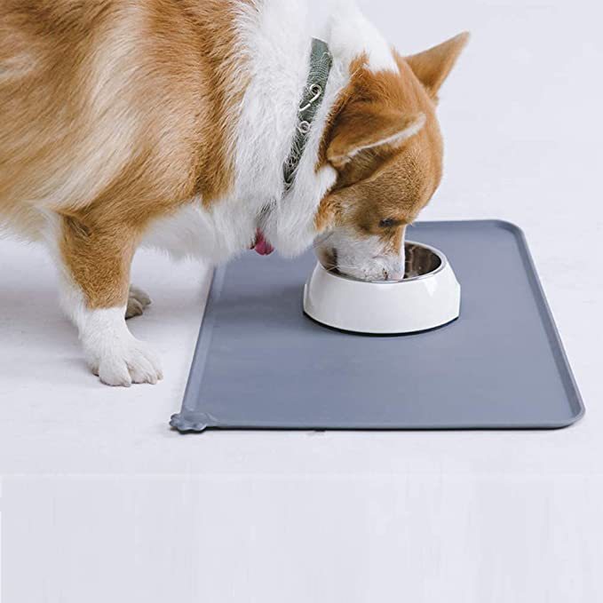 "Stainless steel pet feeding bowl with a non-slip base, perfect for dogs and cats."