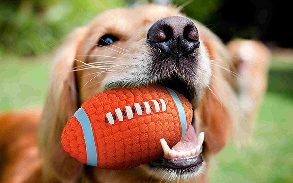 dog Toy Teeth Cleaning Ball