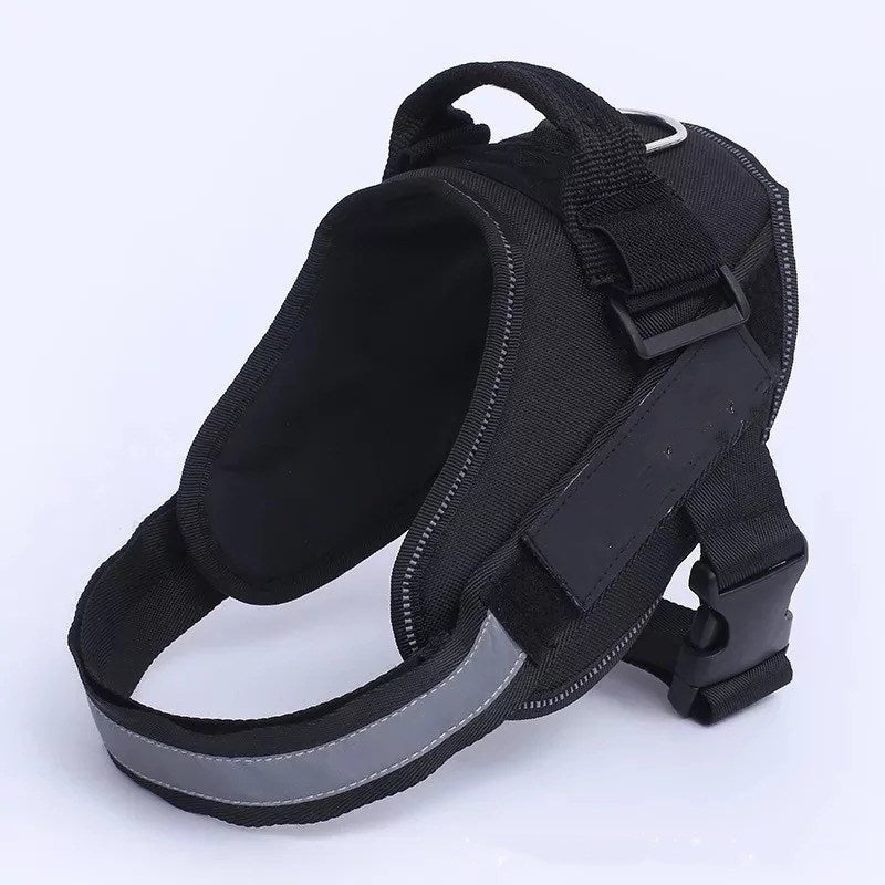 Dog chest strap harness in a sleek design